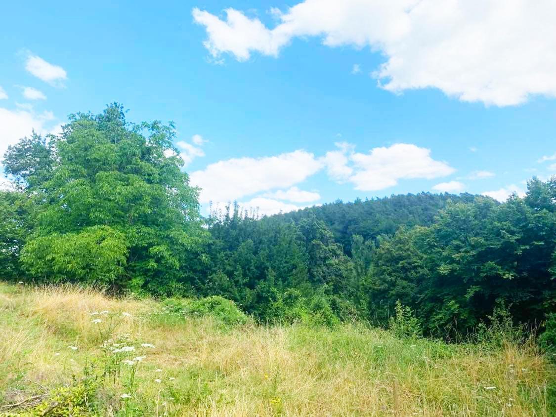Gîte Bella-K, logement privatif en campagne à Gesves Extérieur photo